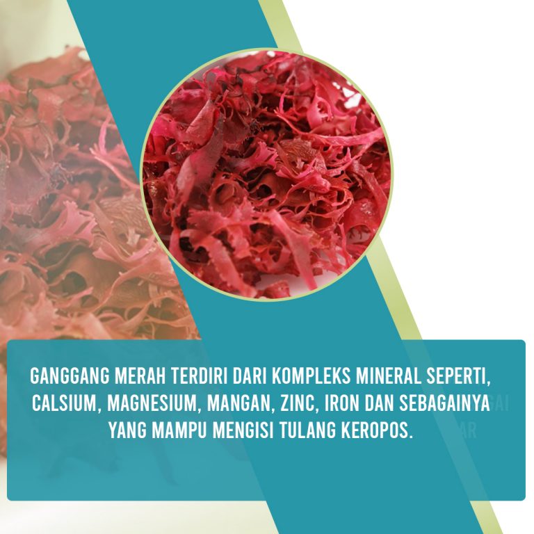 ganggagng-merah